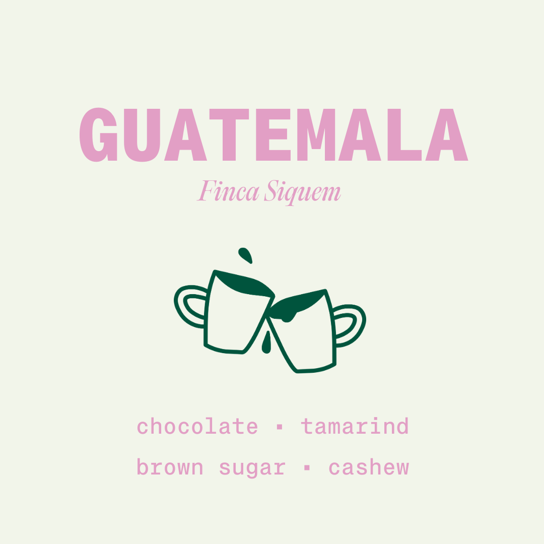 Guatemala - SOLD OUT