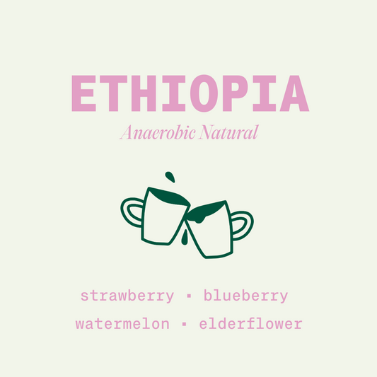 Ethiopia - Anaerobic Natural