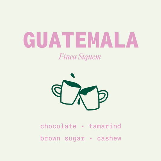 Guatemala - SOLD OUT