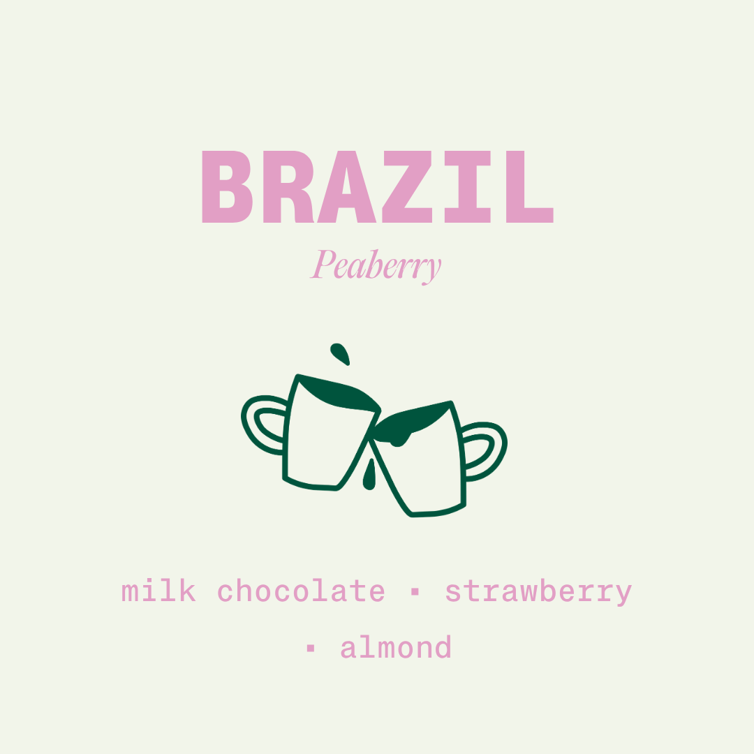 Brazil - Peaberry - NEW ARRIVAL!